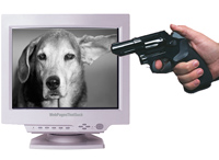 do not shoot this dog